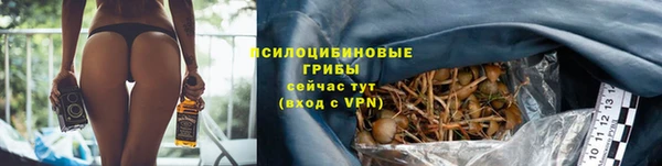бошки Алексин