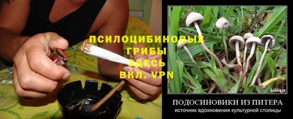 бошки Алексин