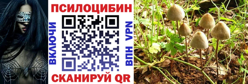 дарнет шоп  дарк нет Telegram  Псилоцибиновые грибы GOLDEN TEACHER  Асино 