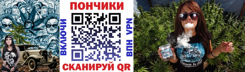 hydra как зайти  Асино  Каннабис тримм 